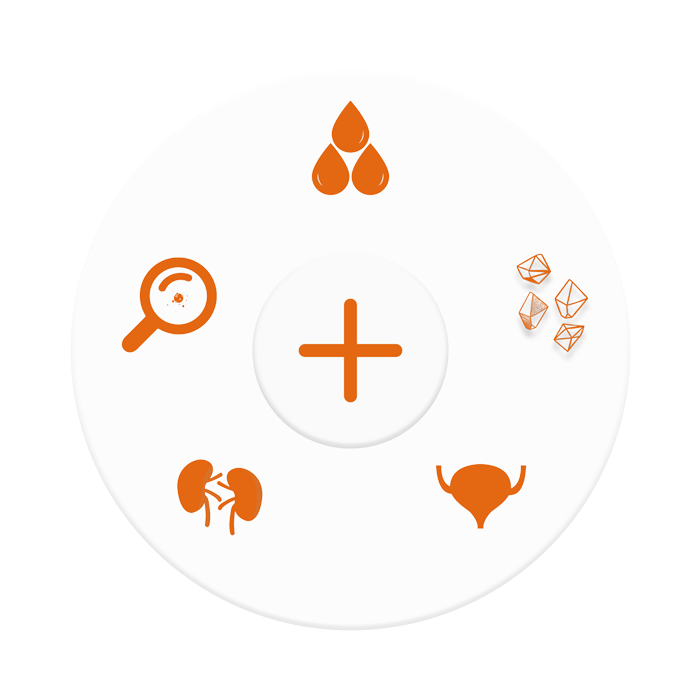 Quelles sont les maladies urinaires suspectées lors d'un résultat positif du test de santé pour chien Attentiv+ ?