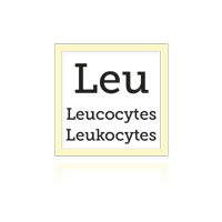 test de santé pour détecter la présence de leucocytes dans les urines du chien