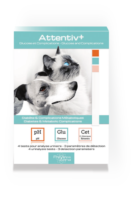 test de santé diabète pour chien et chat test de santé pour chien et chat