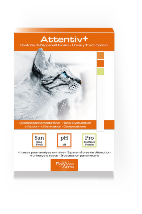 test de santé urinaire pour chat test de santé pour chat