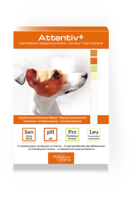 test de santé urinaire pour chien test de santé pour Chien