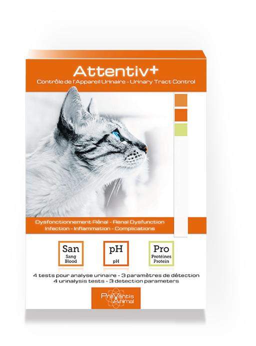 Attentiv+® test de santé analyse urinaire chat au domicile