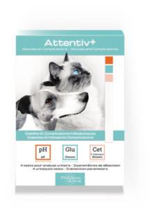 Depistage diabete veterinaire à domicile Kit analyse urinaire chat chien Attentivplus