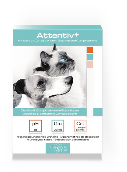 Depistage diabete veterinaire à domicile Kit analyse urinaire chat chien Attentivplus