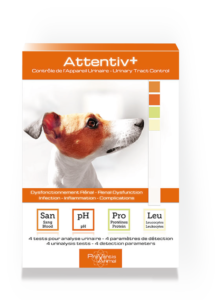 test-de-sante-urinaire-pour-chien Attentiv+® test de sante analyse urinaire au domicile pour chien