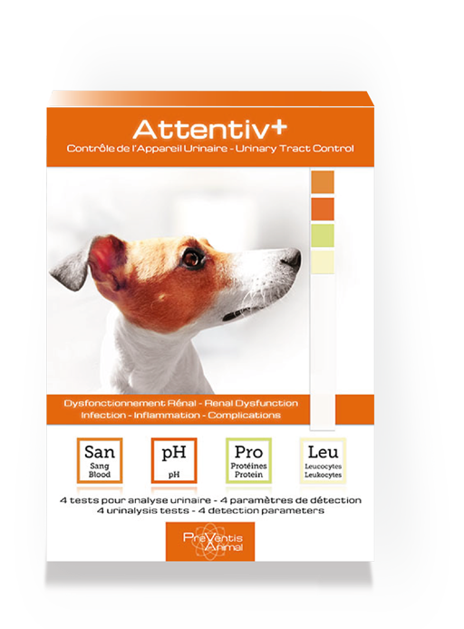 Attentiv+® test de sante analyse urinaire au domicile pour chien