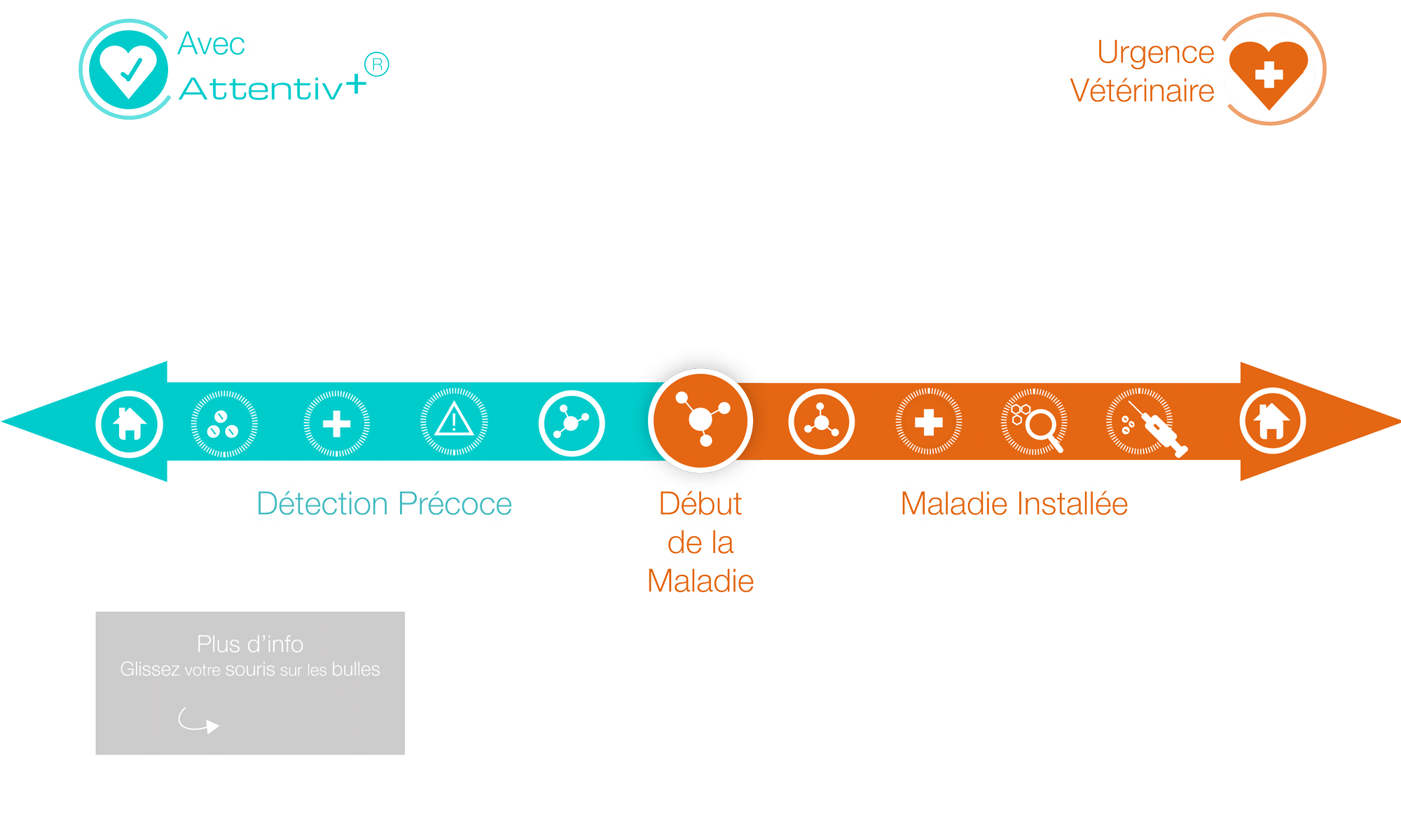 Pourquoi et quand utiliser les test de santé pour chien et chat Attentiv+ ?