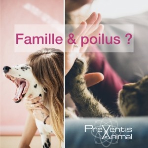 chat chien animaux de compagnie étude chat chien santé maladie et analyses