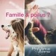 étude chat chien santé maladie et analyses
