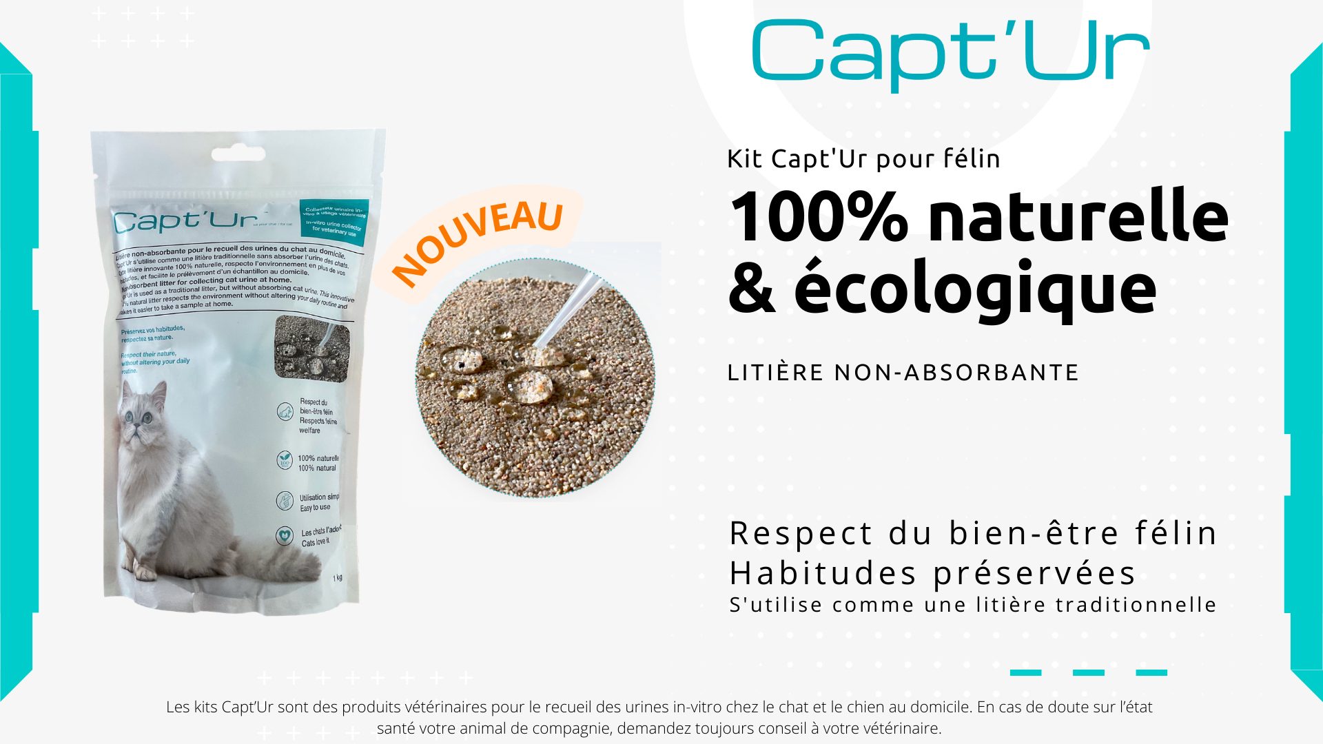 Mon Chat Vomit De La Mousse Blanche Preventis Animal