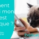Diabète du chat test vétérinaire