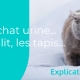 Mon chat urine