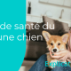 consultation vétérinaire test pour chien