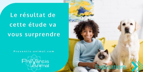 dépistage maladie chat chien