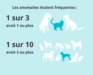 dépistage maladie chat chien