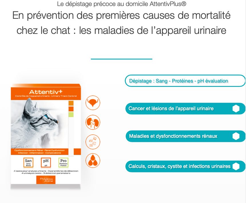 urinaire-chat