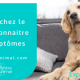 Comment savoir si mon chien est diabétique