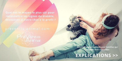 diabete chat comment savoir si un chat a le diabète