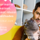 urine de chat quelles solutions