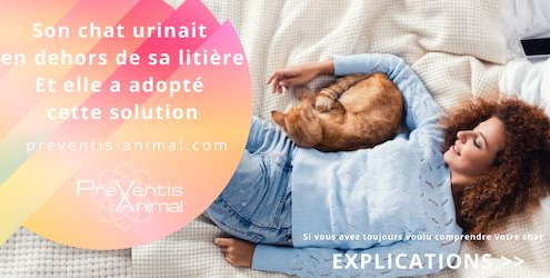 marquage urinaire malpropreté chez le chat