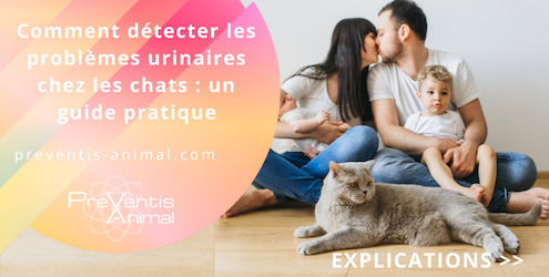 significations des couleurs et des odeurs des urines du chat