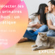 significations des couleurs et des odeurs des urines du chat